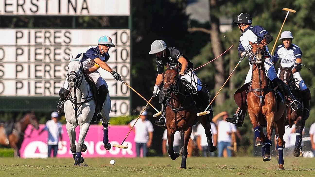 LA DOLFINA 11  ELLERSTINA 9