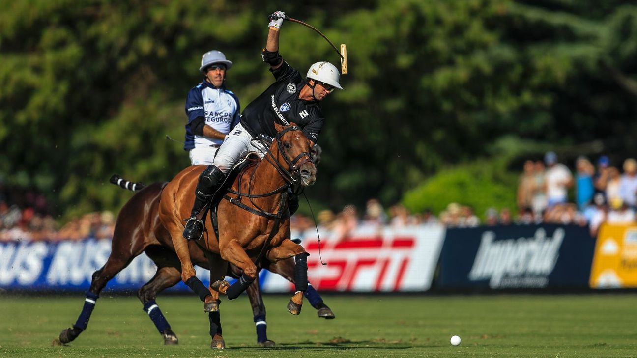 ELLERSTINA 12  LA DOLFINA 11