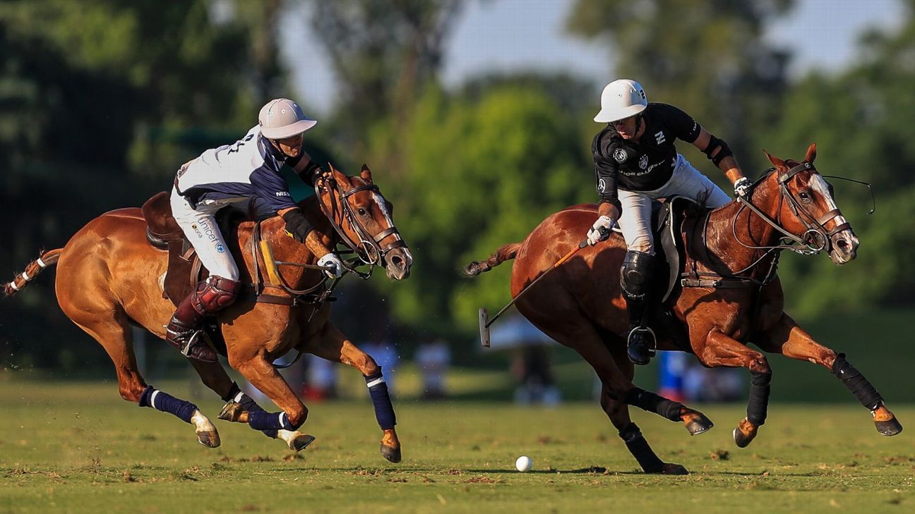 ELLERSTINA 12  LA DOLFINA 11