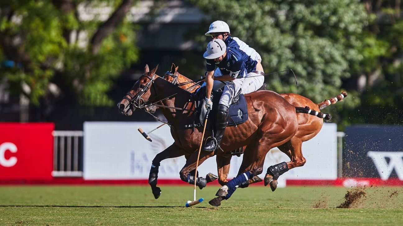 LA DOLFINA SANCOR SEGUROS 15  11 LA DOLFINA POLO RANCH