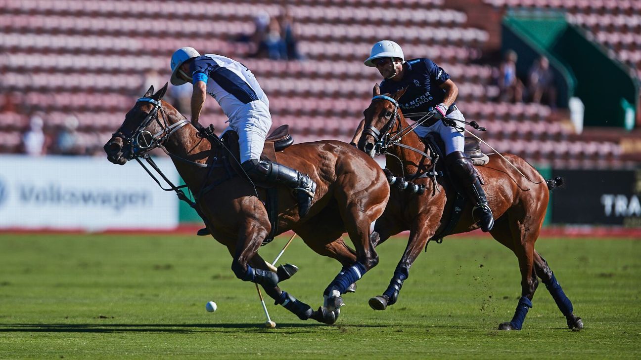 LA DOLFINA SANCOR SEGUROS 15  11 LA DOLFINA POLO RANCH