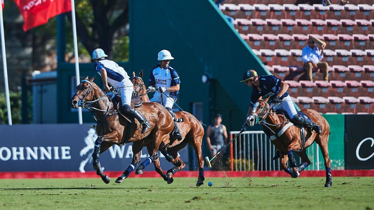 LA DOLFINA SANCOR SEGUROS 15  11 LA DOLFINA POLO RANCH