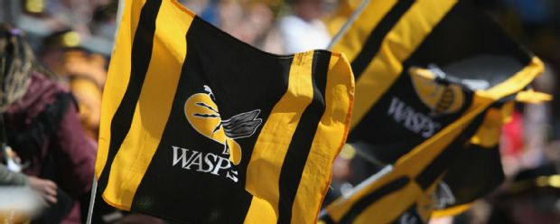 Wasps fans cheer on their team during the Aviva Premiership match with Exeter Chiefs