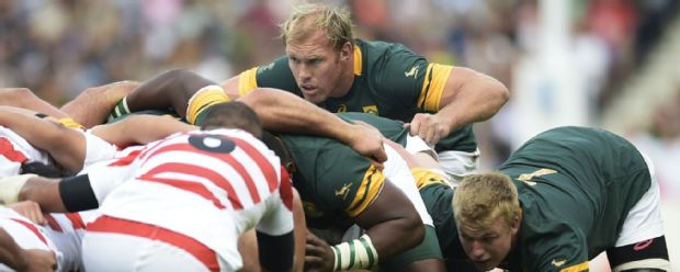Schalk Burger surveys the scene from the base of the South Africa scrum