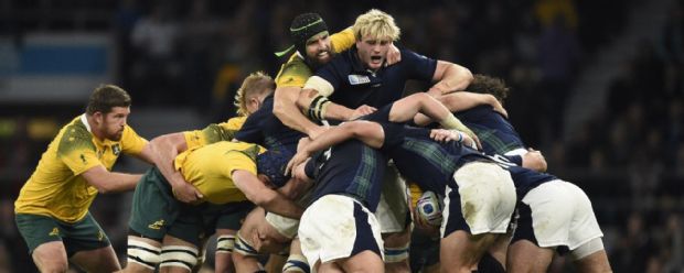 Scotland lock Richie Gray