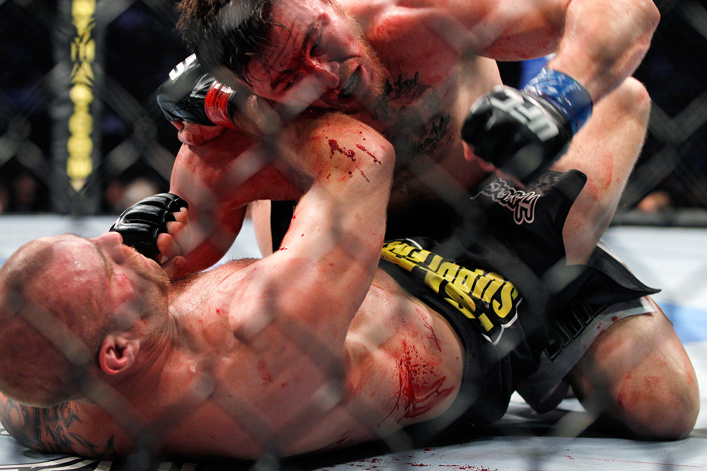Best Mma Pictures 103