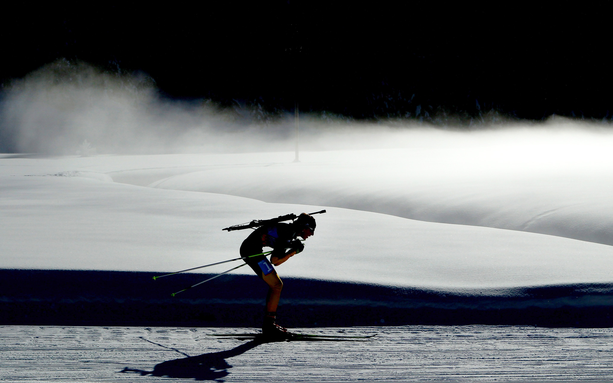 Franziska Preuss, Biathlon