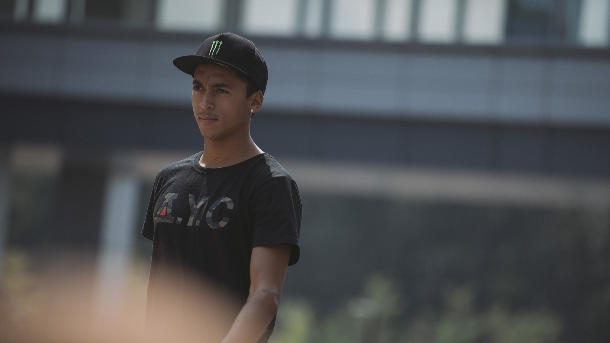 nyjah huston janoski