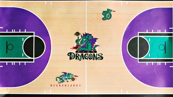 Wait The Brooklyn Nets Almost Became the Swamp Dragons?