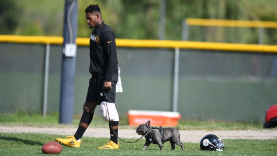 Journalism On Display: Meet Boujee, The Dog That Made Steelers Receiver  JuJu Smith-Schuster A Dad - ESPN Front Row