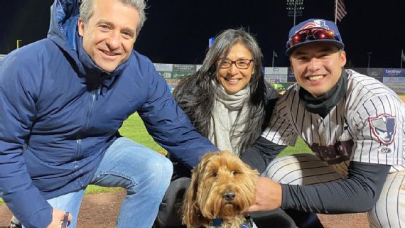 New York Yankees Dog Jacket - Hype Pups, Pet Boutique