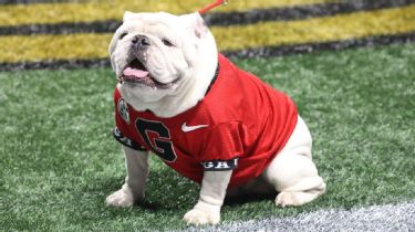 College Football Playoff on X: THE GEORGIA BULLDOGS ARE YOUR 2022 NATIONAL  CHAMPIONS!!!!! #GoDawgs x #cfbplayoff  / X