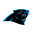 Panthers