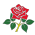 Lancashire