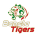 Bangla Tigers