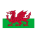 Wales Over-50s