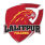 Lalitpur Falcons