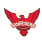 Delhi Capitals