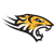 Towson Logo