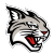 Davidson Logo