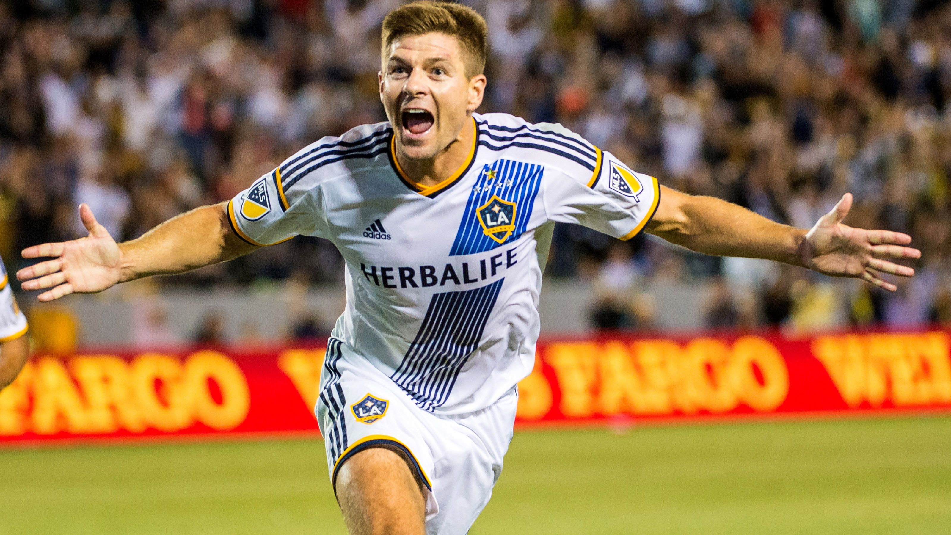 From player. Видео проигрыватель 321. 5k player. From player. From player.