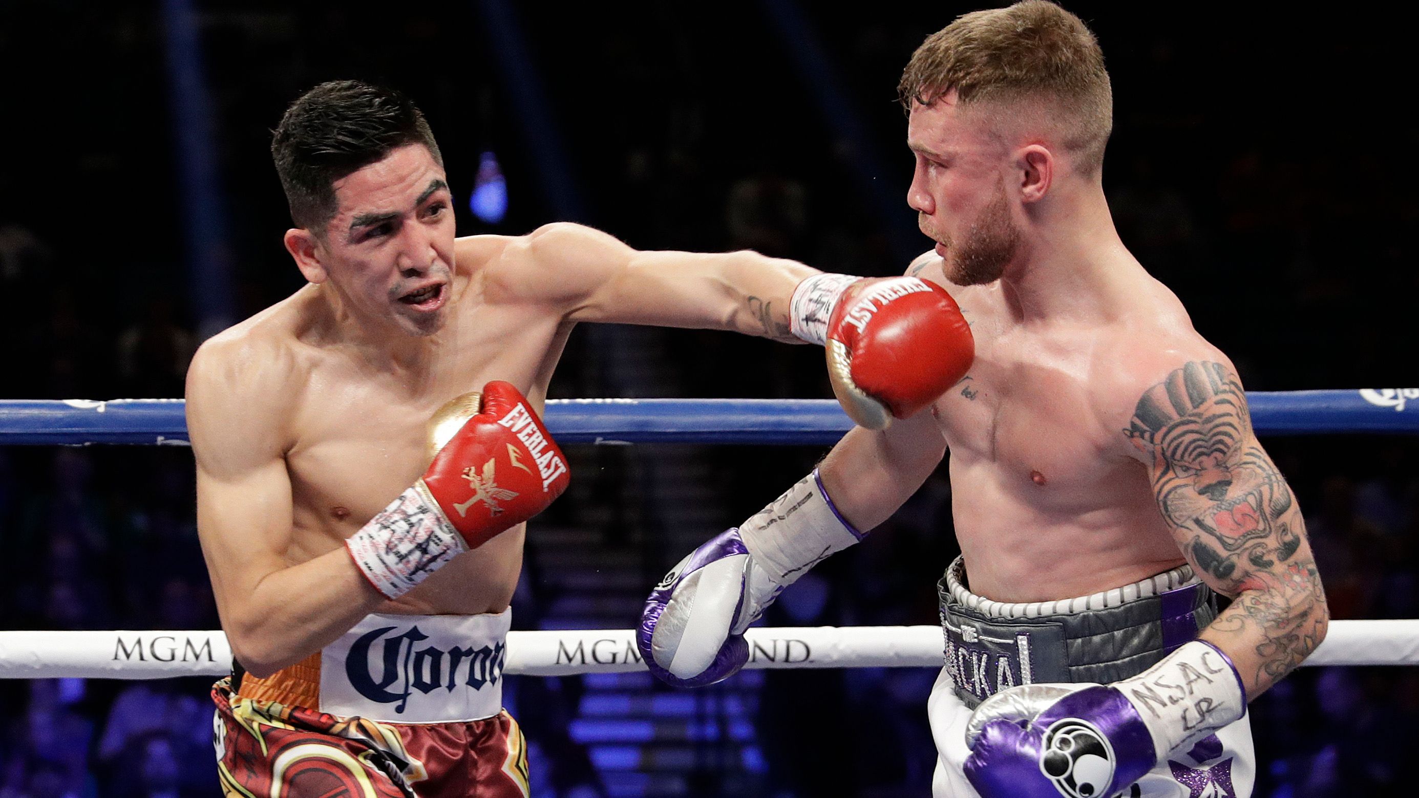 боксер статистика