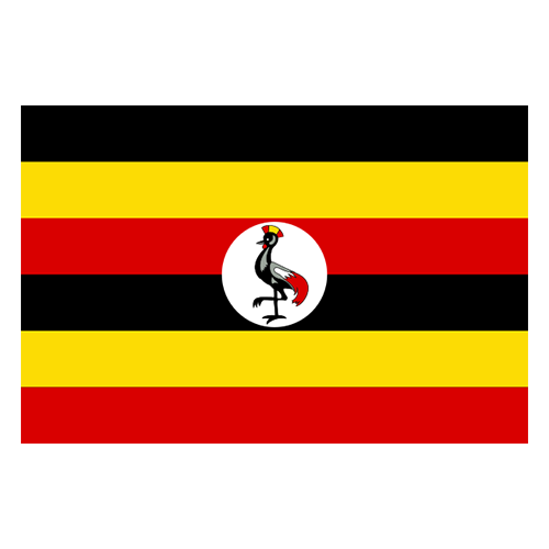 Uganda Cricket Team Scores Matches Schedule News Players