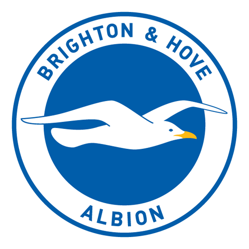 Premier League club Brighton posts $154 million profit