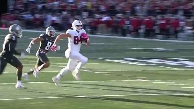 Stanford takes early lead thanks to Benjamin Yurosek's 45-yard TD ...