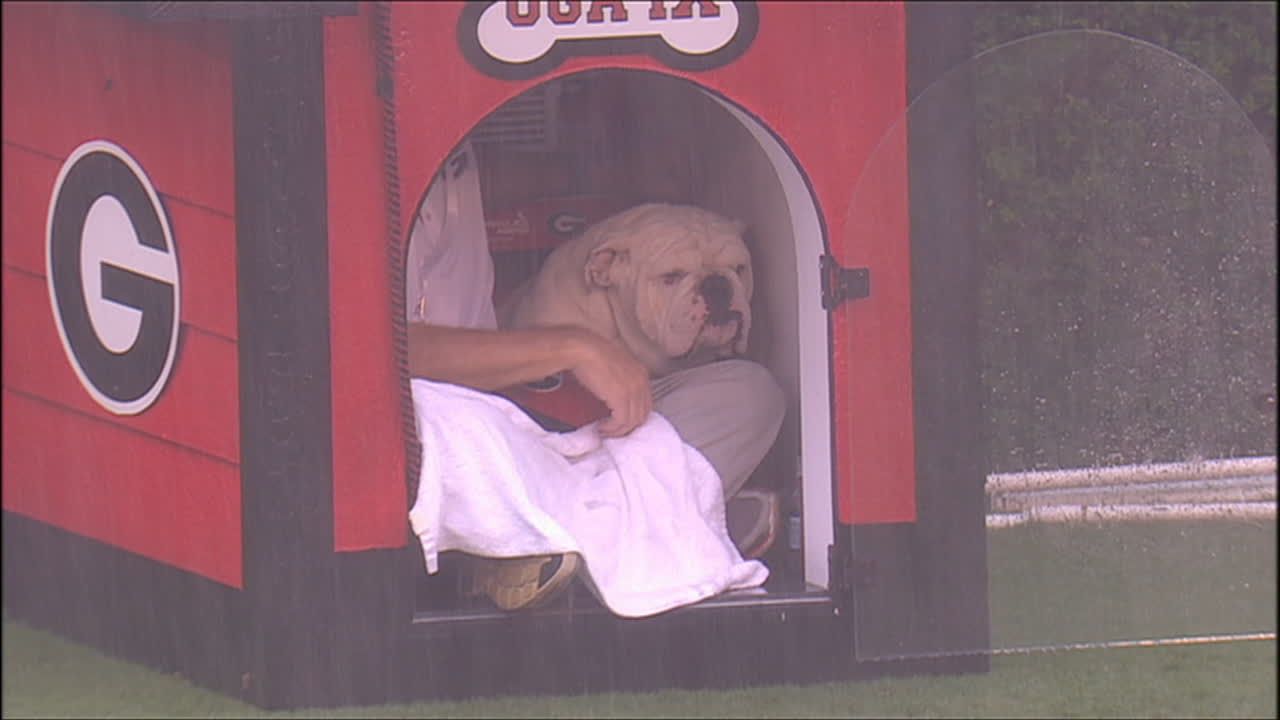 A doghouse built for 2: Uga handler shares shelter with mascot - SEC