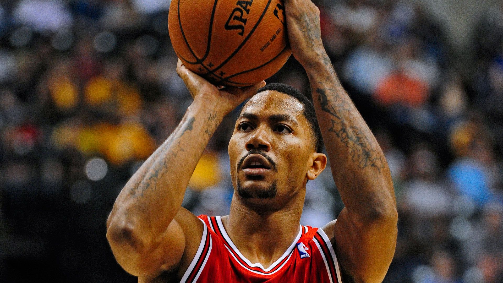 chicago bulls derrick rose mvp