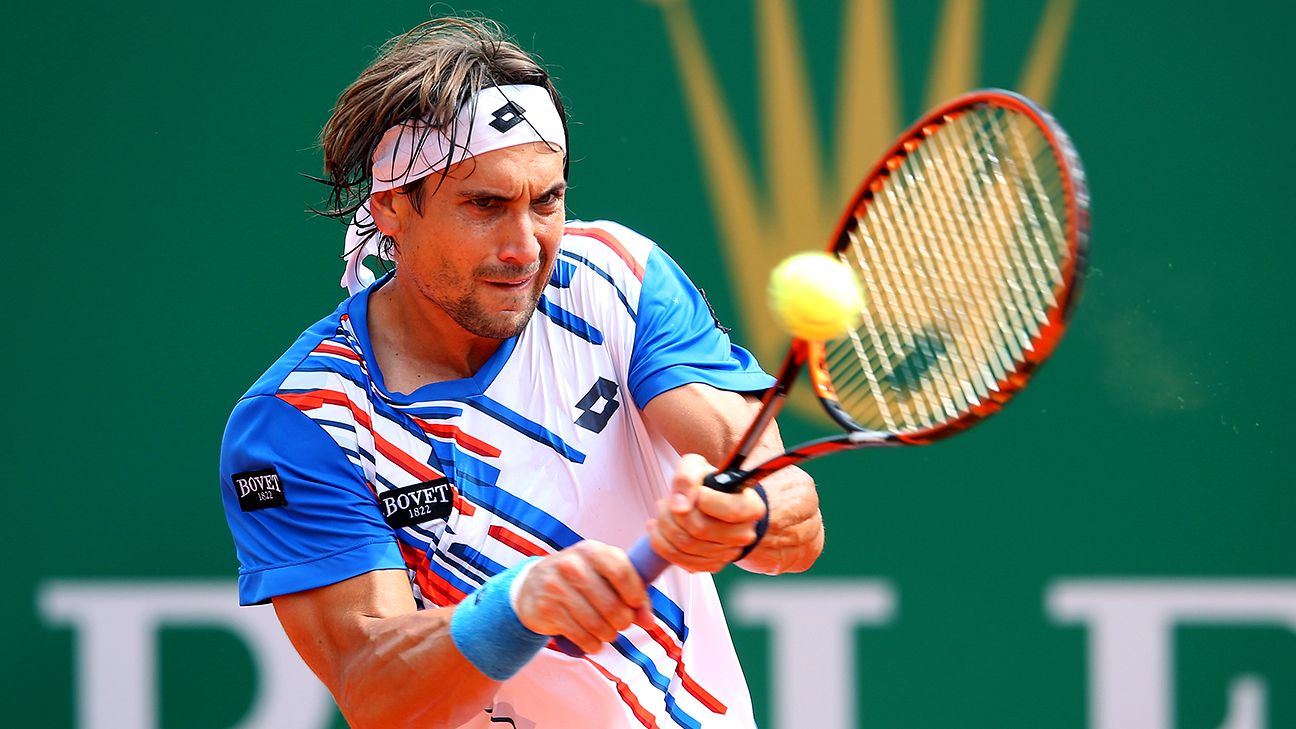 david ferrer prince racquet