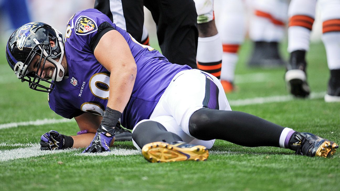 AFC North News: ESPN source says Ravens Pitta out for the 2013