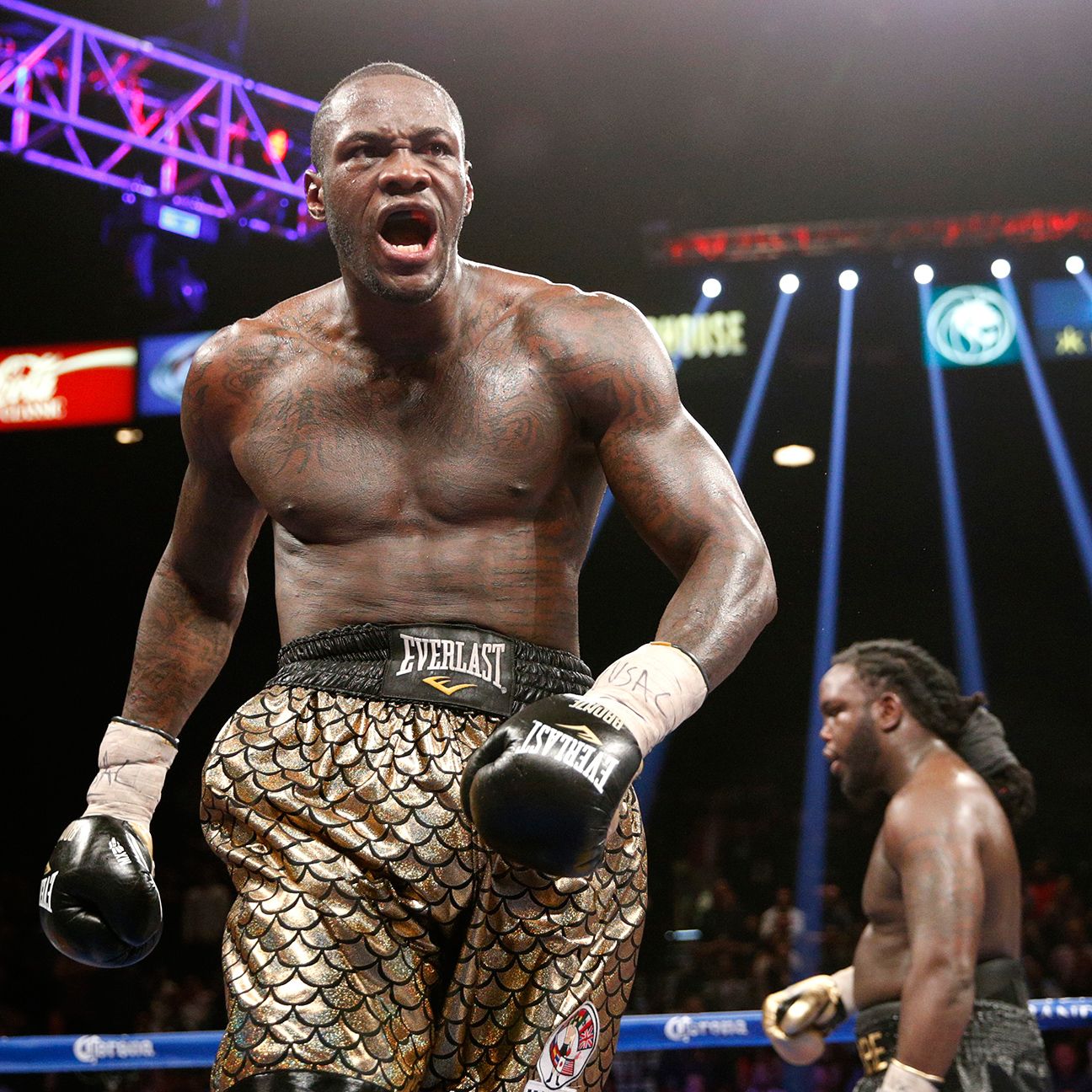 Deontay Wilder decisions Bermane Stiverne to become first American ...