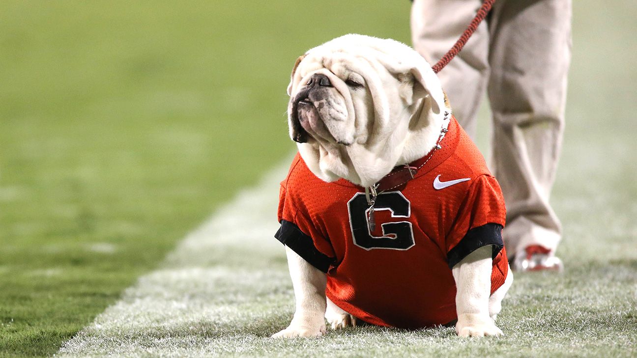 Former Georgia Bulldogs English bulldog mascot Uga IX dies