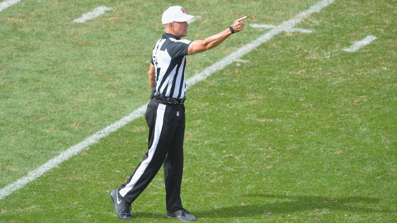 nfl referee penalty flag