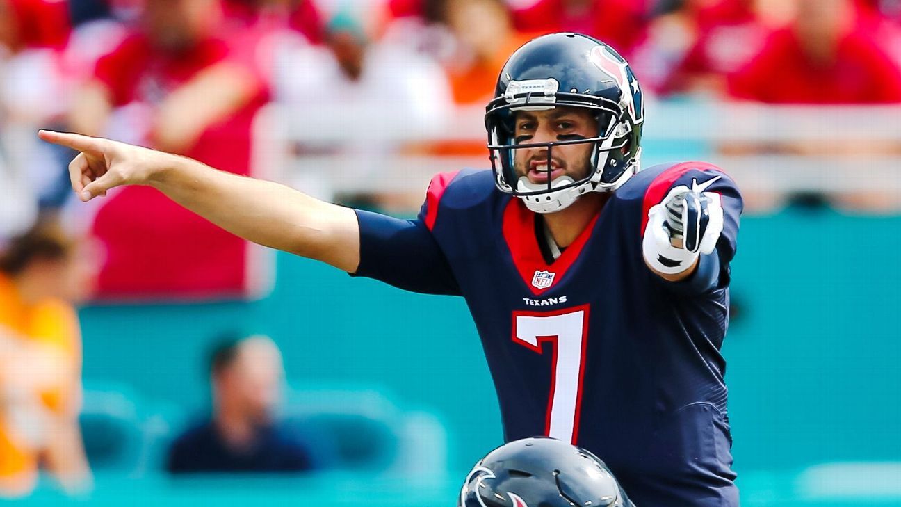 Bears sign veteran quarterback Brian Hoyer - NBC Sports