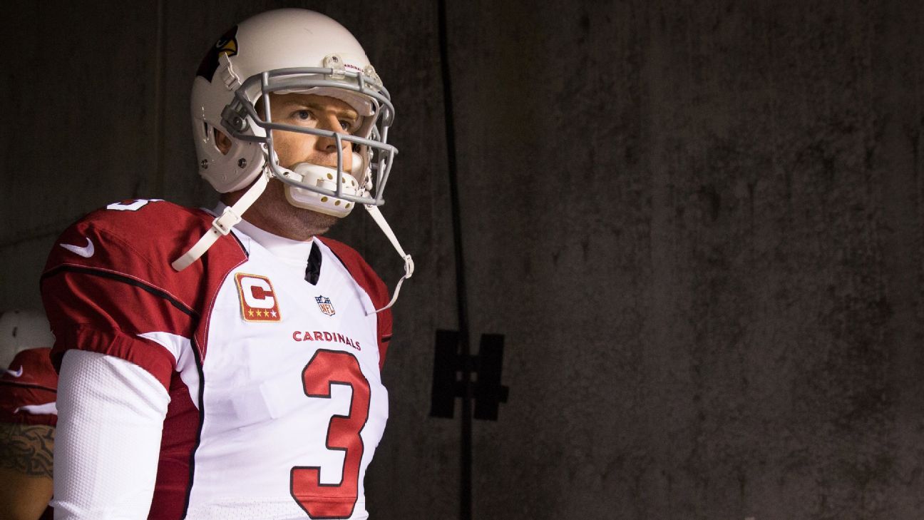 Carson Palmer leads the way on PFF All-Pro team - Revenge of the Birds