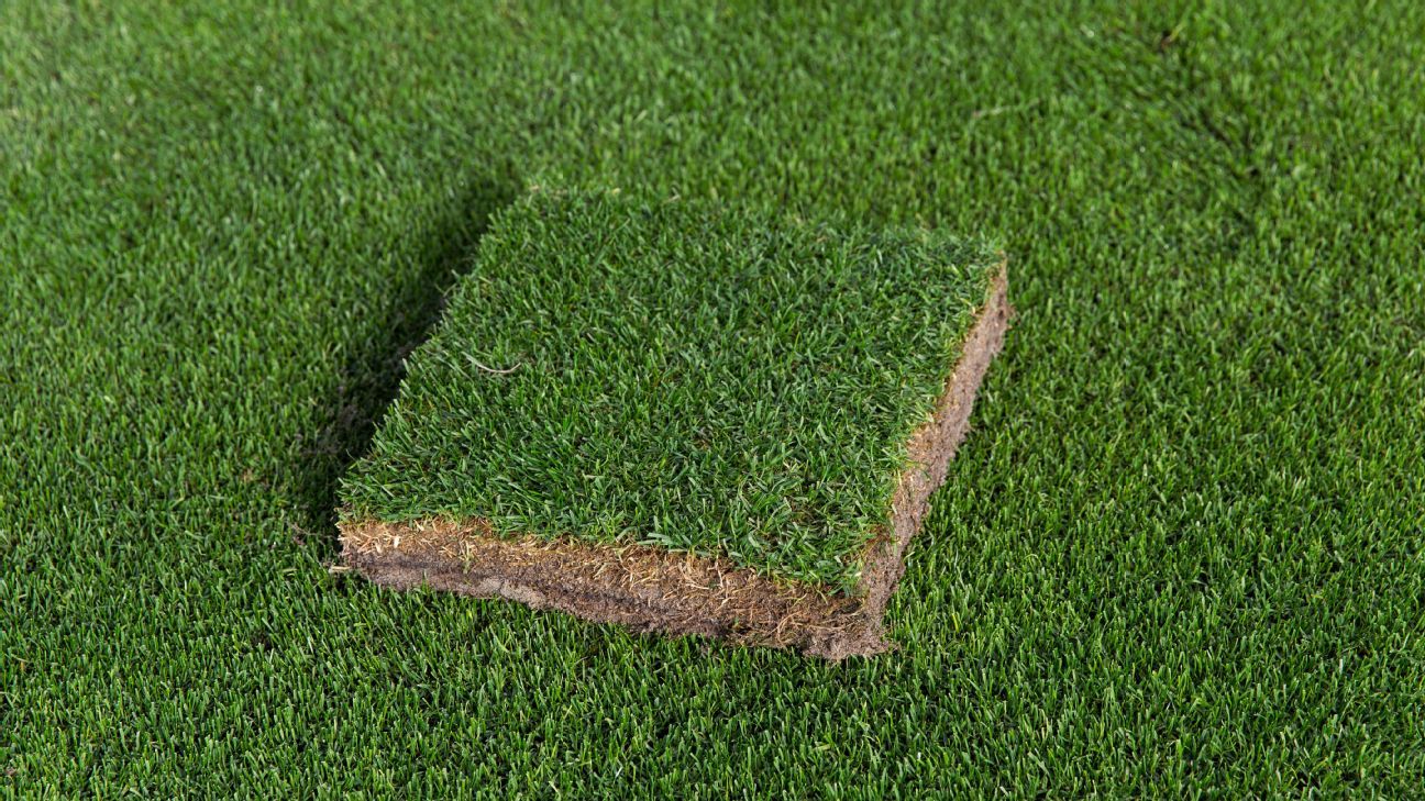 NFLPA: Players want grass fields like World Cup