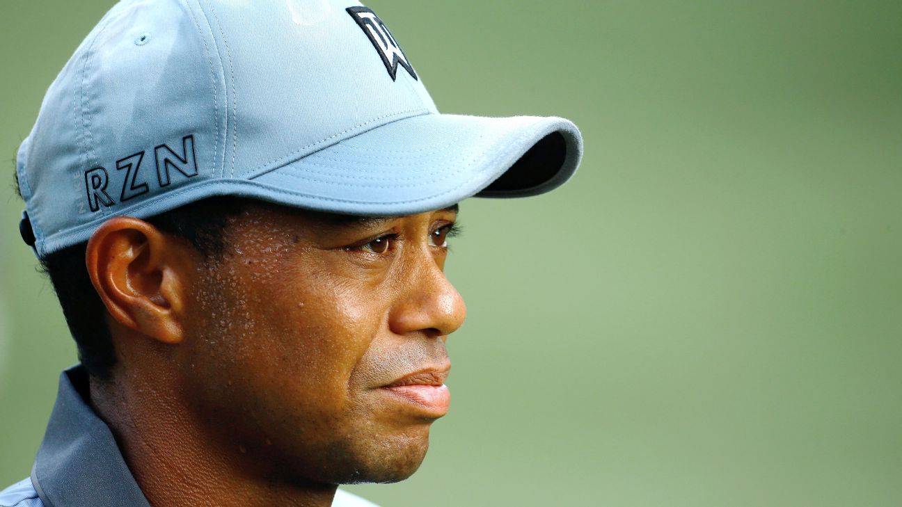 Agent Mark Steinberg says he expects Tiger Woods to return this year - ESPN