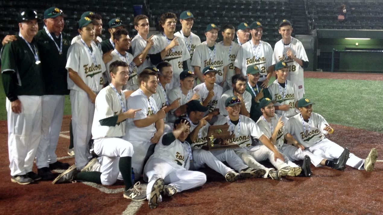 D2 Baseball State Final Squeeze play delivers firstever title for DR