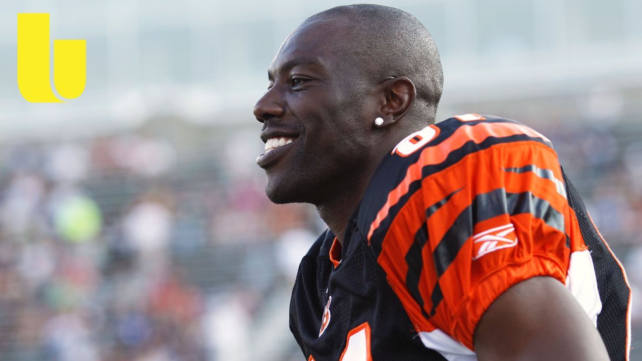 Cleveland Browns: A Terrell Owens signing would have been interesting