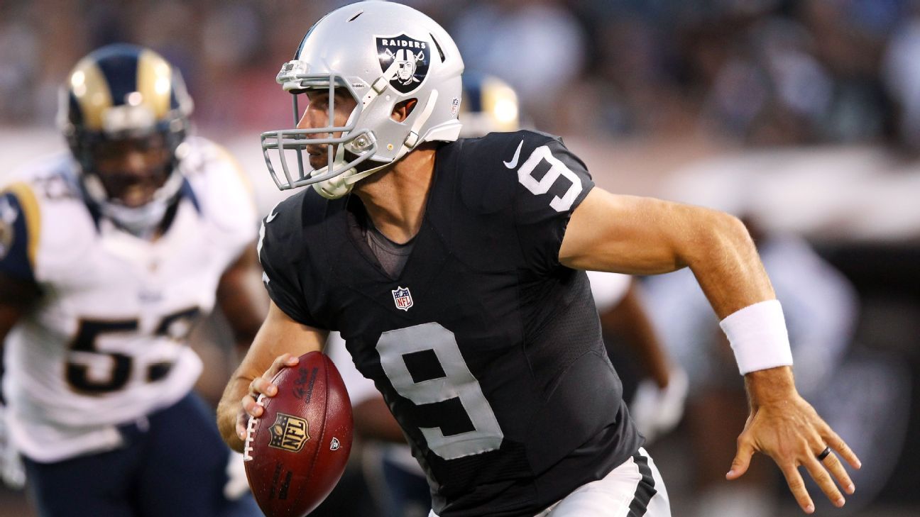 Christian Ponder Signs One-Year Deal with Raiders - Daily Norseman