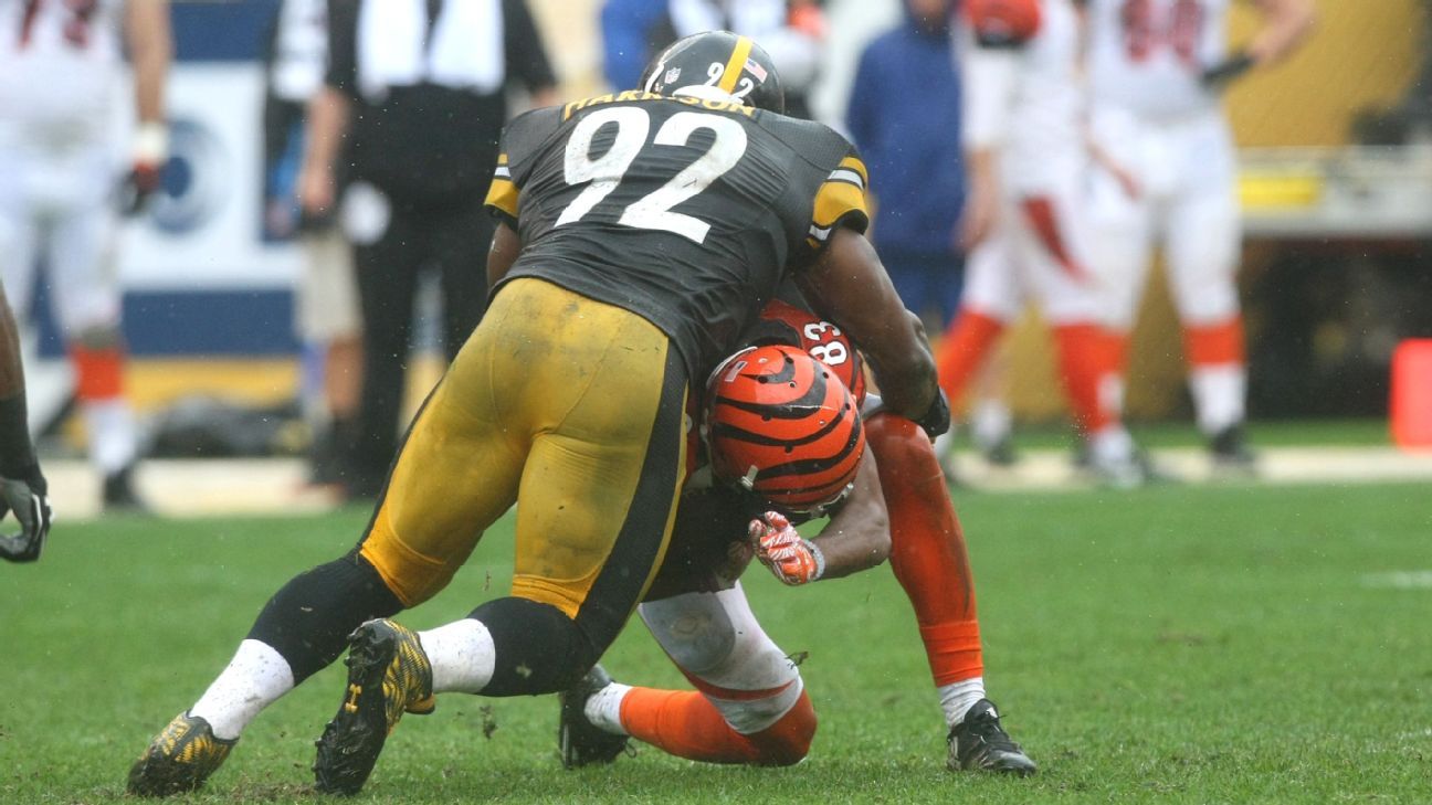 Pittsburgh Steelers: James Harrison is Vital for 2016