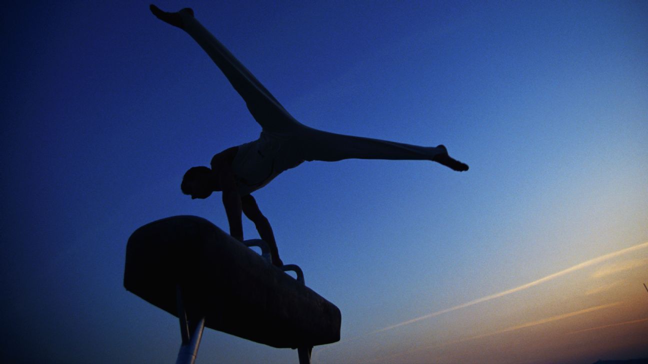 Stephen Nedoroscik wins first pommel horse gold for U.S.; Olympic vault