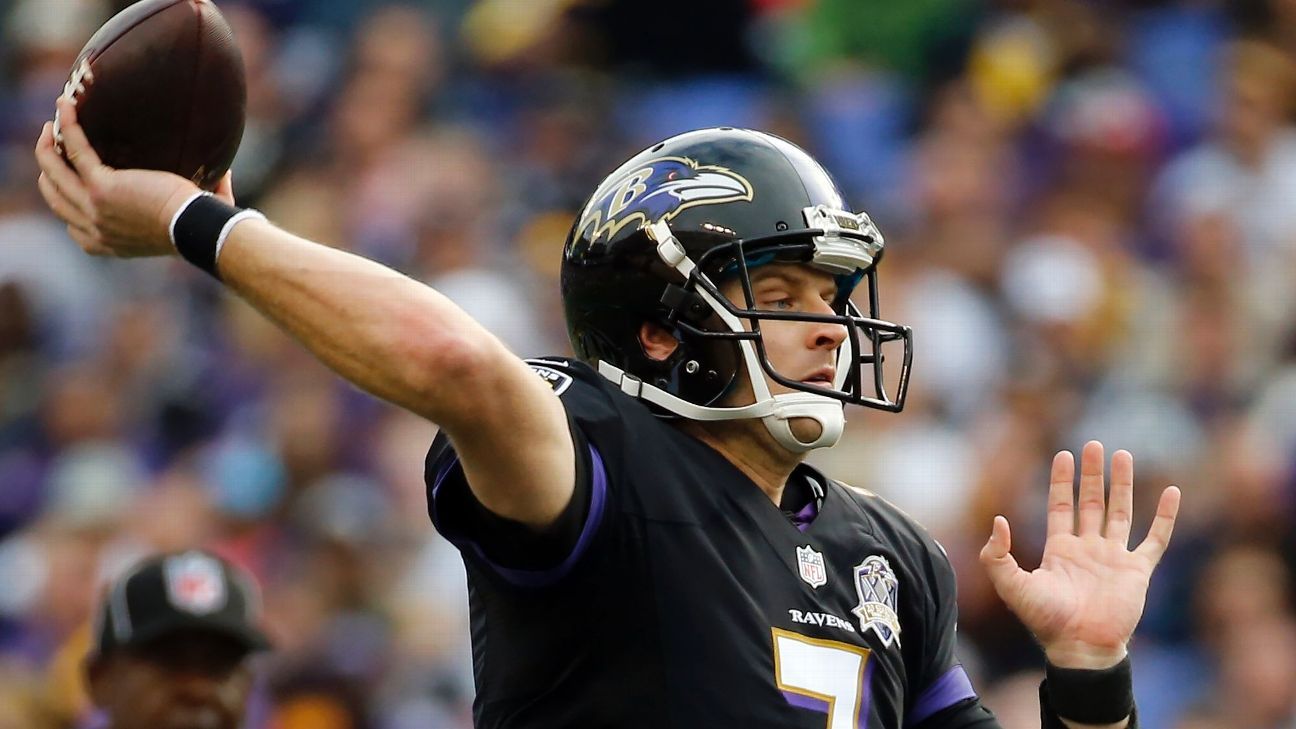 Ryan Mallett starts fast in first career start for Baltimore Ravens