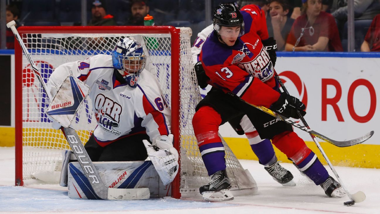 NHL Ranking the top 50 prospects for the 2017 NHL draft ESPN