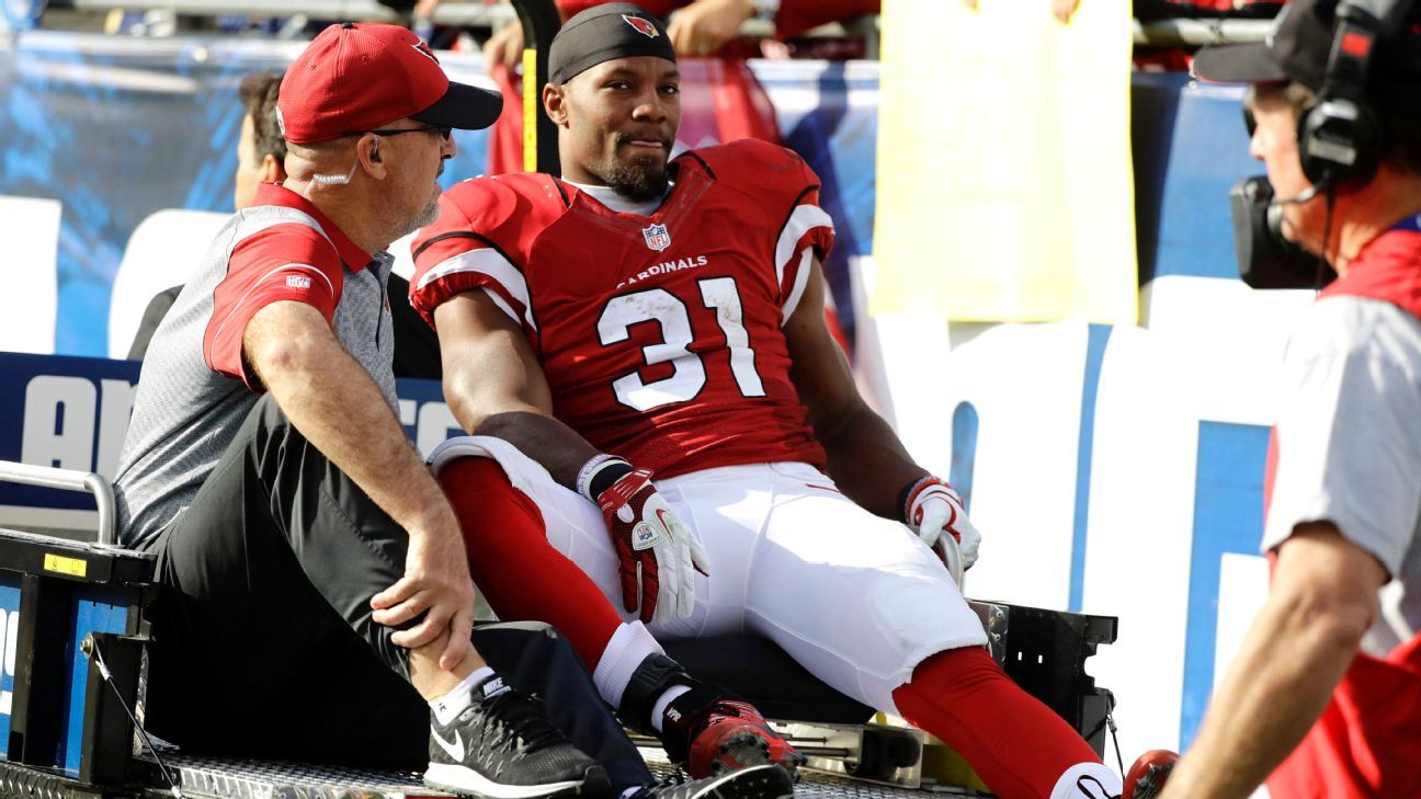 Video shows rehab of Arizona Cardinals' David Johnson is going ...