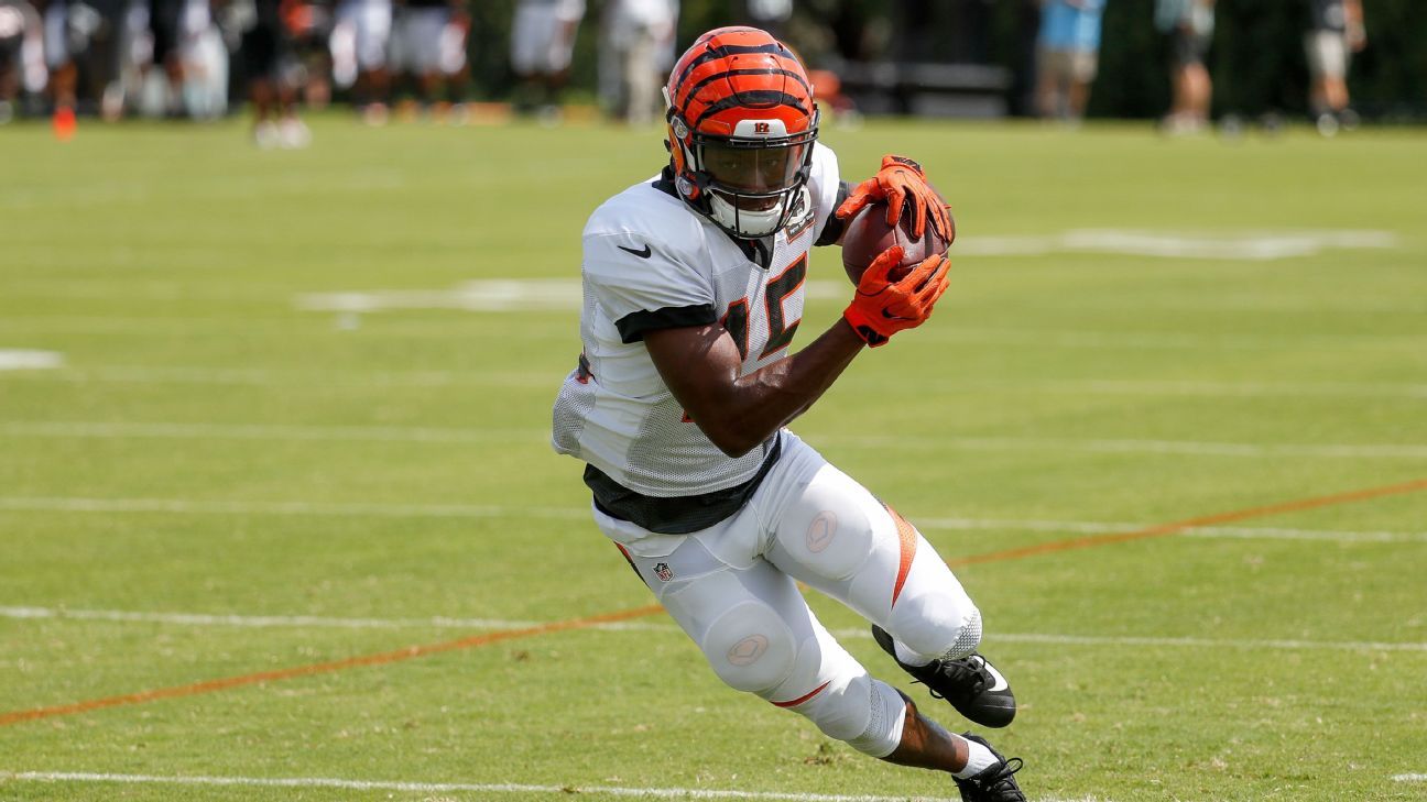 Bengals WR John Ross Suffers Knee Sprain