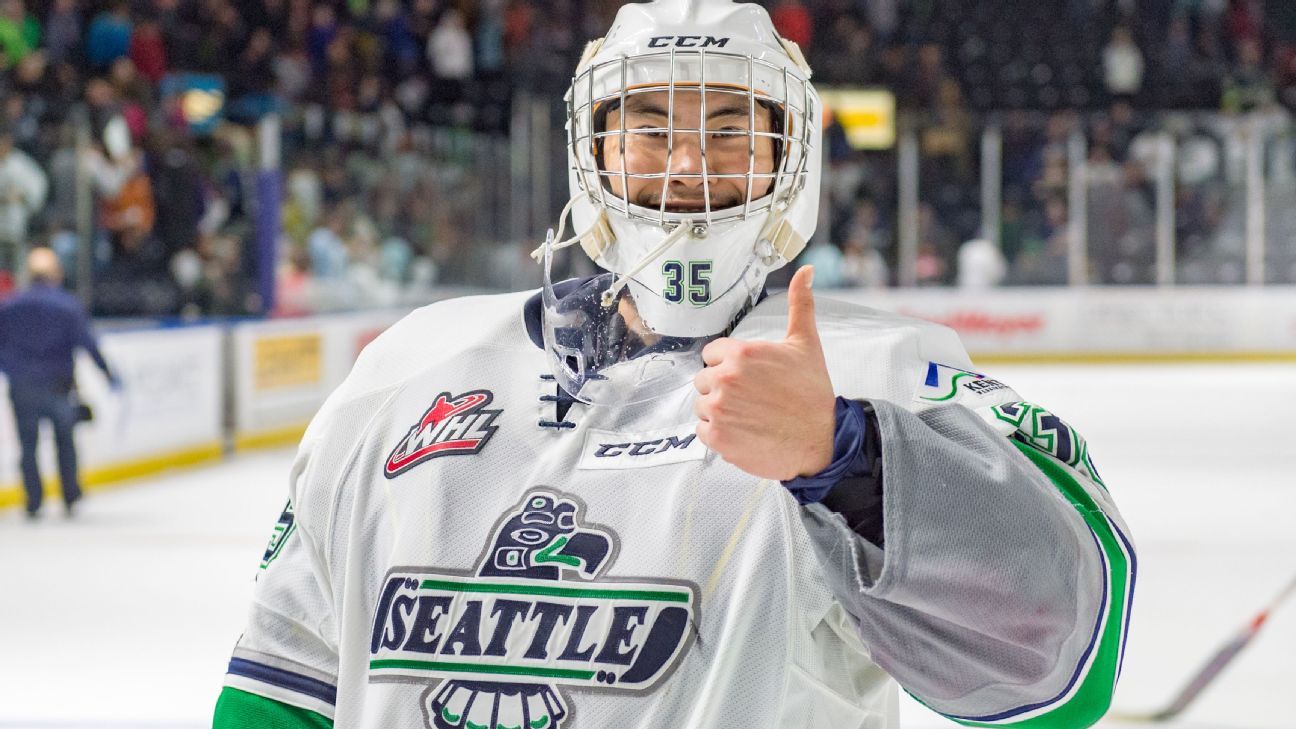 NHL - OK, this Seattle Kraken concept goalie mask is